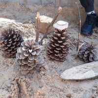 Creando objetos con la naturaleza. Land Art 2