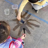 Creando objetos con la naturaleza. Land Art 3