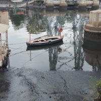 Contaminación en la Cuenca Matanza Riachuelo6