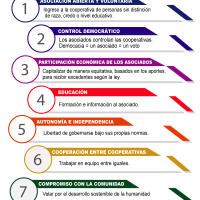 Cooperativismo - Infografia-principios