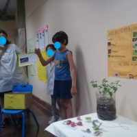 Mini feria de Ciencias de la 29 - 3 grado- Exposicion en la Mini feria